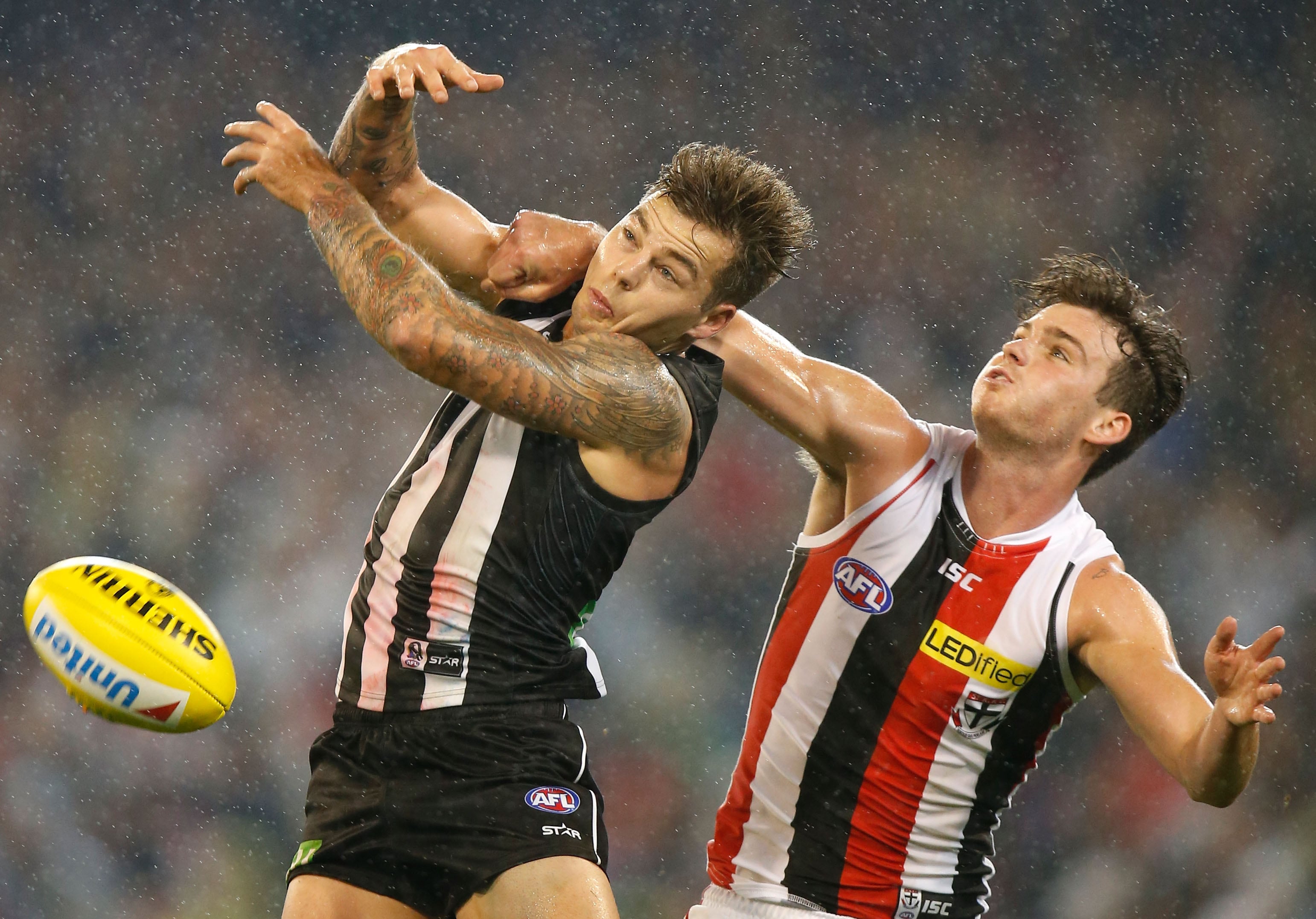 Official AFL Website of the St Kilda Football Club Official AFL Website of the St Kilda Football Club
